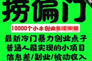 千款撈偏門小本創(chuàng)業(yè)小項(xiàng)目，總有一款適合你【無(wú)水印】