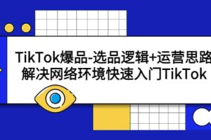 TikTok爆品-選品邏輯 運營思路：解決網絡環境快速入門TikTok