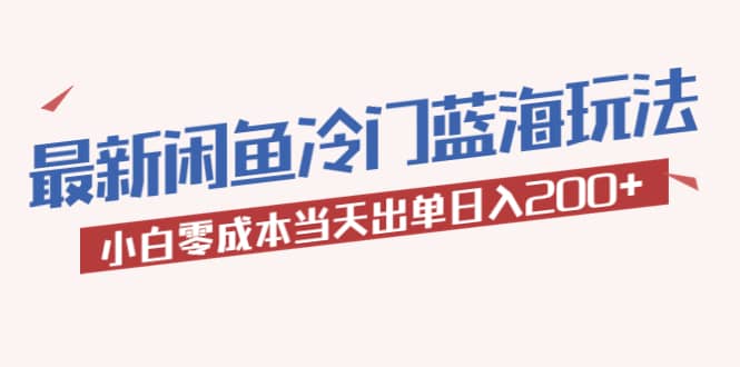 2023最新閑魚冷門藍(lán)海玩法，小白零成本當(dāng)天出單日入200插圖