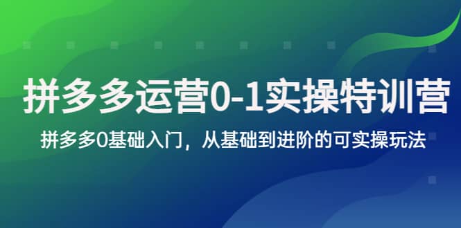 拼多多-運營0-1實操訓練營，拼多多0基礎入門，從基礎到進階的可實操玩法插圖