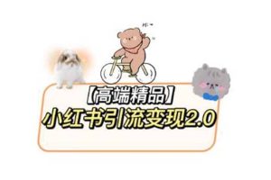 小紅書最新引流變現2.0教程，全網最新最詳細的視頻教程 素材