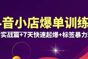 抖音小店爆單訓練營VIP線下課：6大實戰(zhàn)篇 7天快速起爆 標簽暴力玩法(32節(jié))