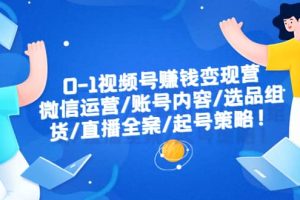 0-1視頻號賺錢變現(xiàn)營：微信運營-賬號內(nèi)容-選品組貨-直播全案-起號策略