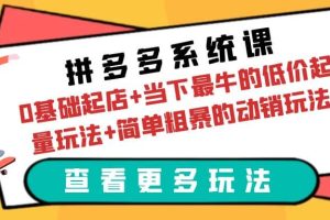拼多多系統(tǒng)課：0基礎起店 當下最牛的低價起量玩法 簡單粗暴的動銷玩法