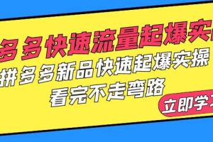 拼多多-快速流量起爆實戰，拼多多新品快速起爆實操，看完不走彎路