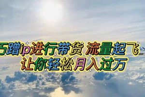 巧蹭ip進行帶貨，流量起飛，讓你輕松月入過萬