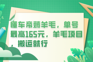 懂車帝薅羊毛，單號(hào)最高165元，羊毛項(xiàng)目，搬運(yùn)就行