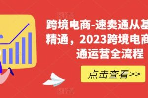 速賣通從0基礎(chǔ)到精通，2023跨境電商-速賣通運(yùn)營(yíng)實(shí)戰(zhàn)全流程