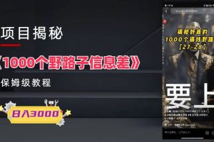 1000個野路子信息差保姆式教程-單日變現(xiàn)3000 的玩法解密