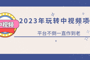 2023一心0基礎(chǔ)玩轉(zhuǎn)中視頻項(xiàng)目：平臺(tái)不倒，一直做到老