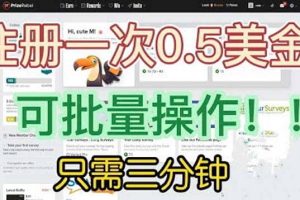 國外項(xiàng)目注冊(cè)一次0.5美金 只需三分鐘無腦操作 可批量放大 小白工作室福利