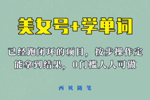 《美女號 學單詞》玩法，信息差而已 課程拆開揉碎了和大家去講 (教程 素材)