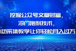 挖掘公眾號文章財富，冷門抱利技術(shù)，讓你輕松月入過萬