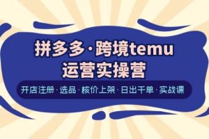 拼多多·跨境temu運營實操營：開店注冊·選品·核價上架·日出千單·實戰課