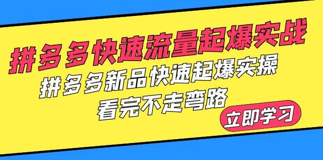 拼多多-快速流量起爆實戰，拼多多新品快速起爆實操，看完不走彎路插圖