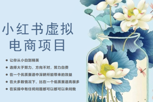 小紅書虛擬電商從0到1，讓你從小白到精英（20節實操課程）