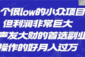 一個(gè)很low的小眾項(xiàng)目，但利潤非常巨大，悶聲發(fā)大財(cái)?shù)氖走x副業(yè)，月入過萬
