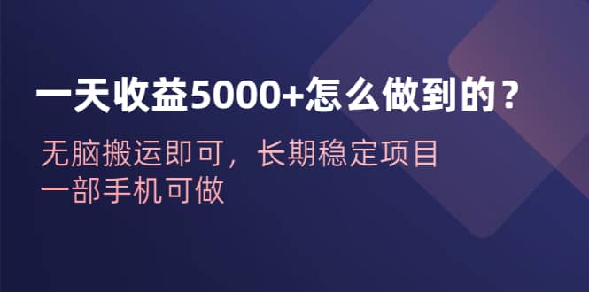 一天收益5000 怎么做到的？無腦搬運即可，長期穩(wěn)定項目，一部手機可做插圖
