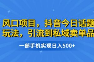 風口項目，抖音今日話題玩法，引流到私域賣單品，一部手機實現(xiàn)日入500