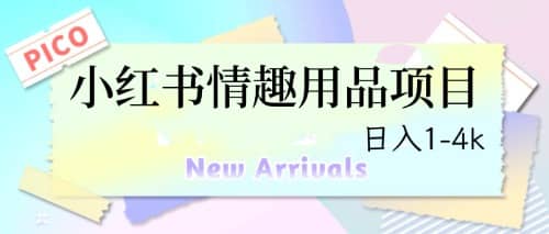 最新小紅書情趣用品項目，日入1-4k插圖