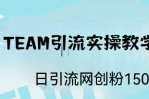 ST TEAM引流實(shí)操課，日引流網(wǎng)創(chuàng)粉100