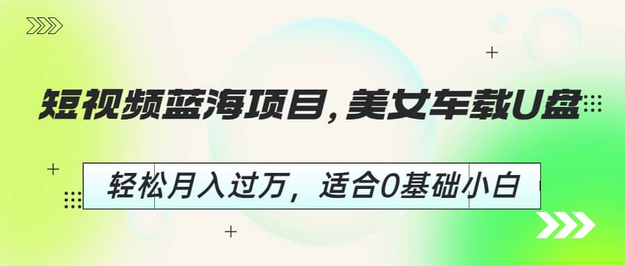 短視頻藍海項目，美女車載U盤，輕松月入過萬，適合0基礎小白插圖