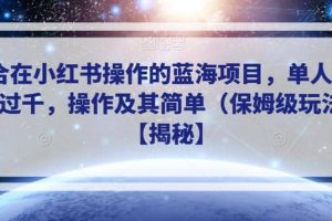 適合在小紅書操作的藍(lán)海項(xiàng)目，單人日收入過千，操作及其簡單（保姆級玩法）【揭秘】