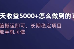 一天收益5000 怎么做到的？無腦搬運即可，長期穩(wěn)定項目，一部手機可做