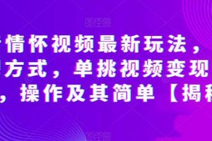 抖音情懷視頻最新玩法，多種變現(xiàn)方式，單挑視頻變現(xiàn)1000 ，操作及其簡單【揭秘】