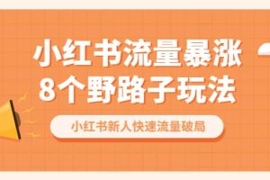 小紅書流量-暴漲8個野路子玩法：小紅書新人快速流量破局（8節課）