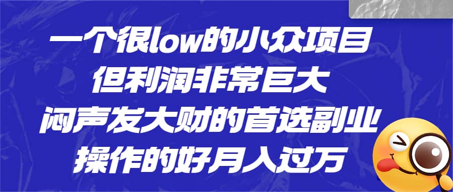 一個(gè)很low的小眾項(xiàng)目，但利潤非常巨大，悶聲發(fā)大財(cái)?shù)氖走x副業(yè)，月入過萬插圖