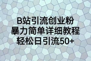 B站引流創(chuàng)業(yè)粉，暴力簡單詳細教程，輕松日引流50