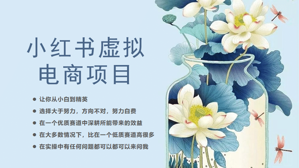 小紅書虛擬電商從0到1，讓你從小白到精英（20節實操課程）插圖