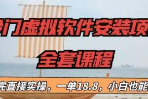 冷門虛擬軟件安裝項目，一單18.8，小白也能月入3W＋