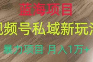藍海項目，視頻號私域新玩法，暴力項目月入1萬 【揭秘】