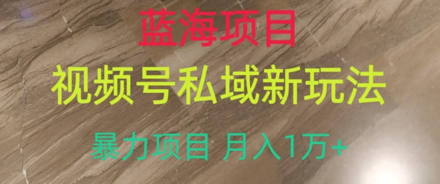 藍海項目，視頻號私域新玩法，暴力項目月入1萬 【揭秘】插圖
