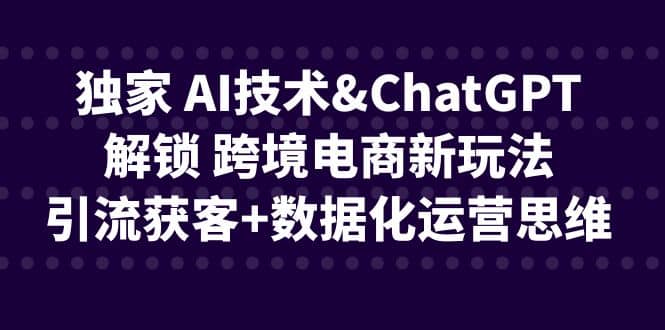 獨家 AI技術ChatGPT解鎖 跨境電商新玩法，引流獲客 數(shù)據(jù)化運營思維插圖