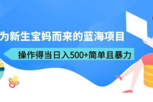 專為新生寶媽而來的藍海項目，操作得當日入500 簡單且暴力（教程 工具）
