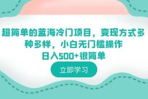 超簡單的藍海冷門項目，變現方式多種多樣，小白無門檻操作日入500 很簡單