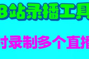 B站錄播工具，支持同時錄制多個直播間【錄制腳本 使用教程】