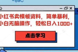 小紅書賣模板資料，簡單暴利，小白無腦操作，輕松日入1000 【揭秘】
