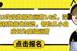 2023淘寶數據化-運營 14式，深度解析數據化知識，幫你從小白成長為高級運營