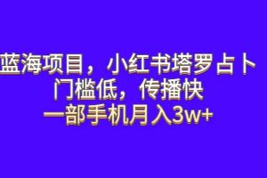 藍海項目，小紅書塔羅占卜，門檻低，傳播快，一部手機月入3w