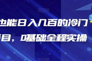 新手也能日入幾百的冷門DIY項目，0基礎全程實操【揭秘】