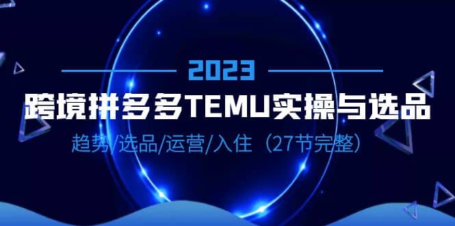 2023跨境·拼多多·TEMU實操與選品，趨勢·選品·運營·入住（27節完整）插圖
