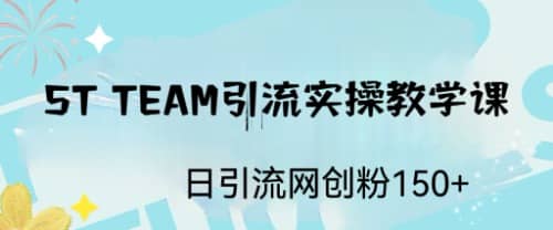 ST TEAM引流實(shí)操課，日引流網(wǎng)創(chuàng)粉100插圖