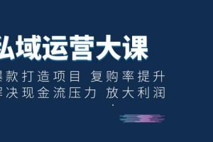私域運營大課：爆款打造項目 復購率提升 解決現金流壓力 放大利潤
