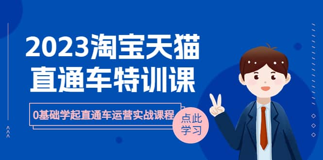 2023淘寶·天貓直通車評特訓(xùn)課，0基礎(chǔ)學(xué)起直通車運(yùn)營實(shí)戰(zhàn)課程（8節(jié)課時(shí)）插圖