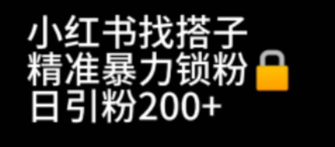 小紅書找搭子暴力精準鎖粉 引流日引200 精準粉插圖