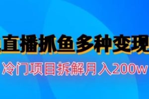 水邊直播抓魚，多種變現途徑冷門項目，月入200w拆解【揭秘】